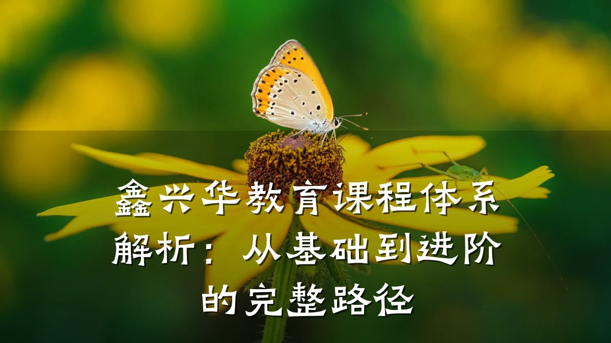 鑫兴华教育课程体系解析：从基础到进阶的完整路径