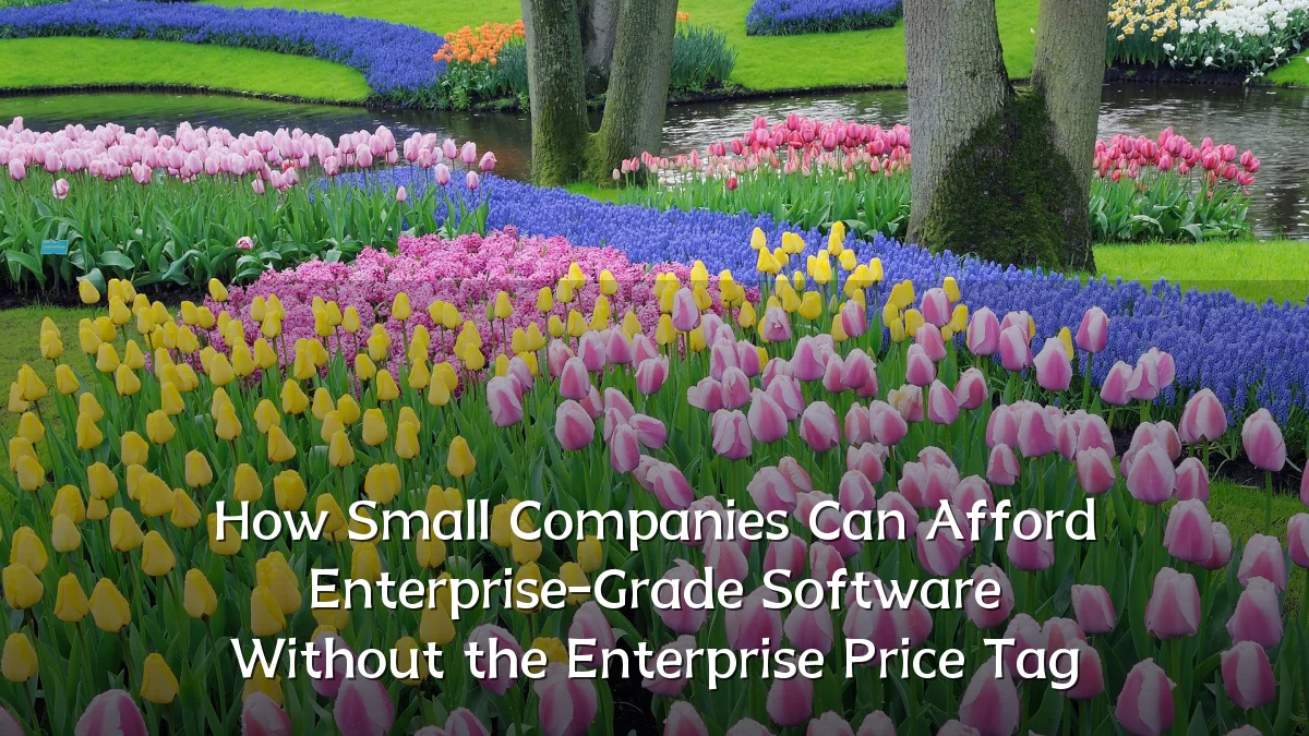 How Small Companies Can Afford Enterprise-Grade Software Without the Enterprise Price Tag