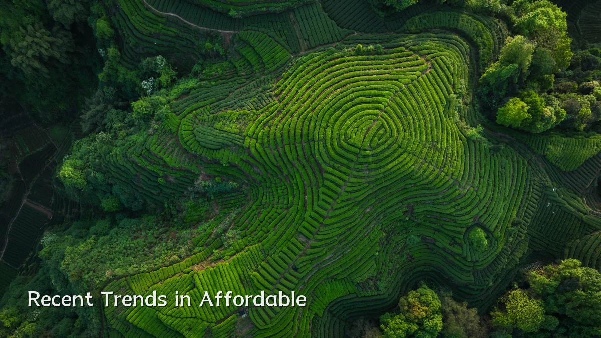Recent Trends in Affordable