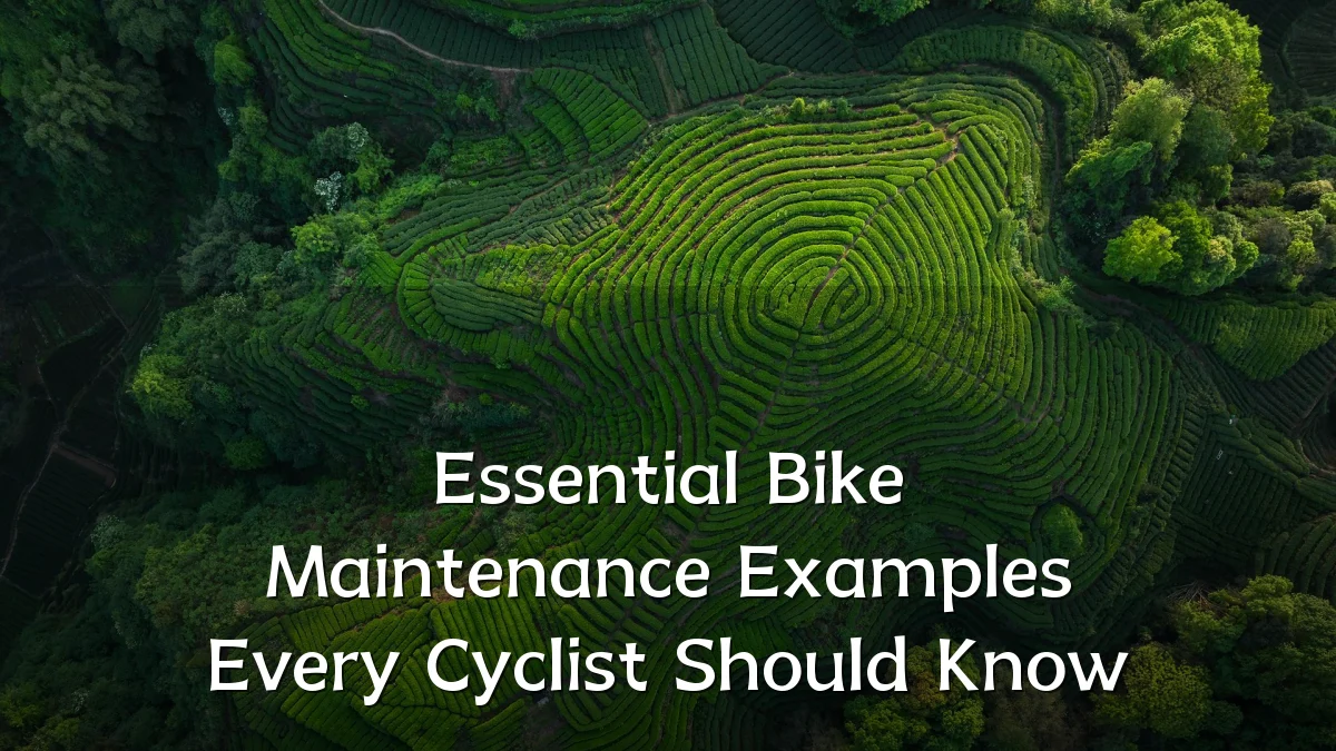 Essential Bike Maintenance Examples Every Cyclist Should Know