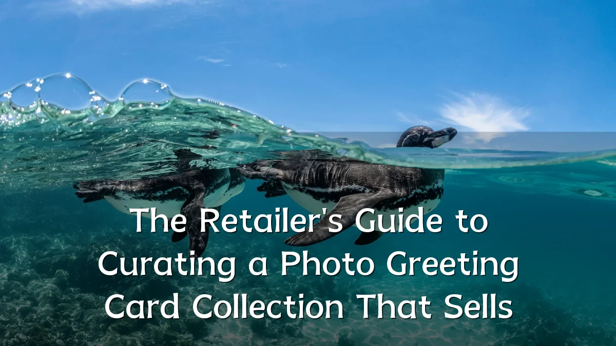 The Retailer's Guide to Curating a Photo Greeting Card Collection That Sells